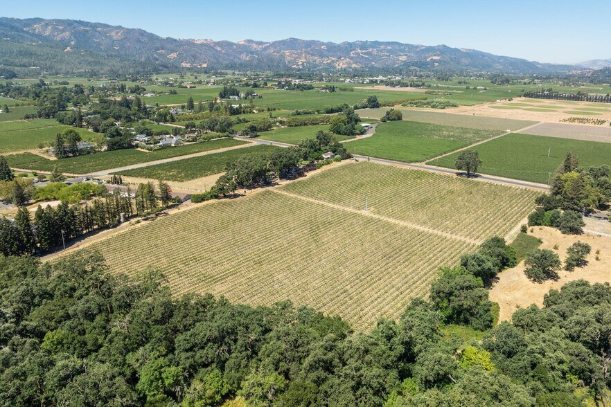 More Photos Of 79 Zinfandel Ln, Saint Helena Land For Sale