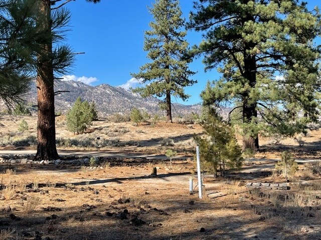 More Photos Of 415-025 Scott Rd, Doyle Land For Sale