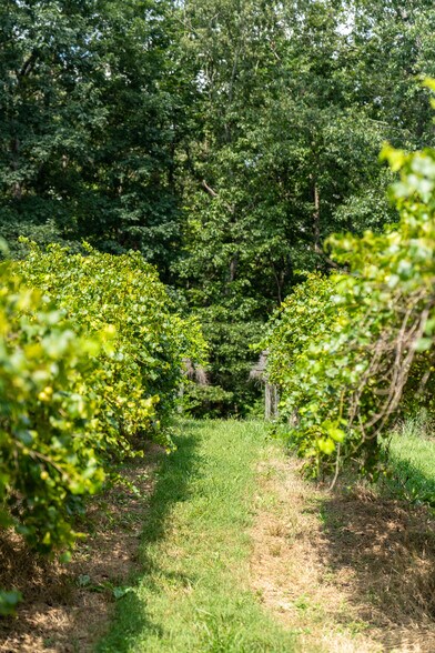 More Photos Of 9975 Ball Ground Hwy, Ball Ground General Retail For Sale