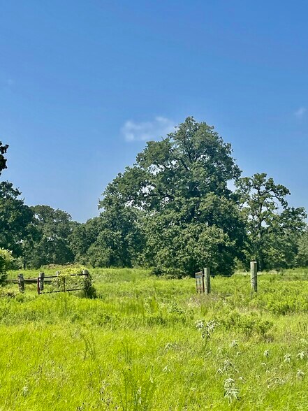 More Photos Of FM 933 Patton Lake rd, Aquilla Land For Sale