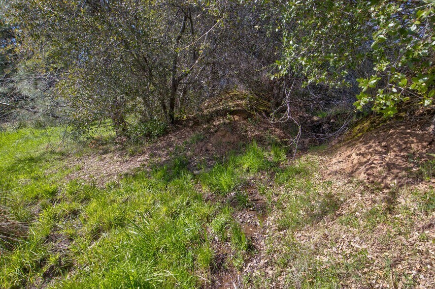 More Photos Of 18800 Charleston Rd, Volcano Land For Sale