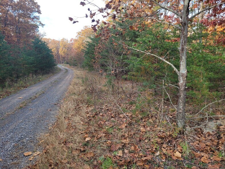 More Photos Of Lot 26 Cabin Run -1, Bloomery Land For Sale