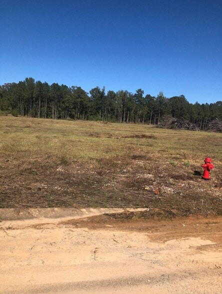 More Photos Of Technology Dr, Cottondale Land For Sale