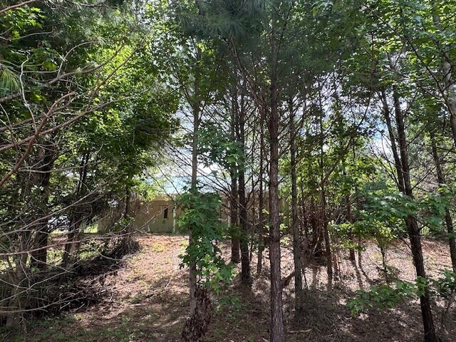 More Photos Of 940 Jones Corner Rd, Titus Land For Sale