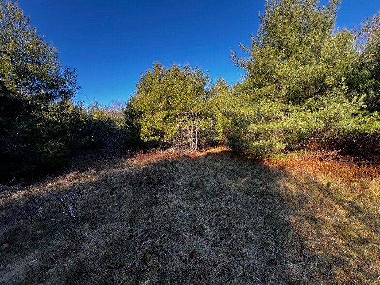 More Photos Of 480 Rear Wareham Street, Middleboro Land For Sale