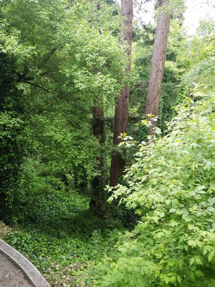 More Photos Of 9019 Soquel Dr, Aptos Office For Lease