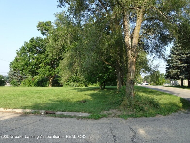 Primary Photo Of 10980 S M52 Rd, Perry Land For Sale