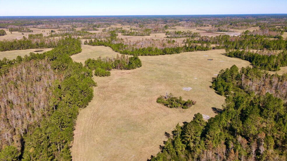 More Photos Of 4597 State 24 rd, Bronson Land For Sale