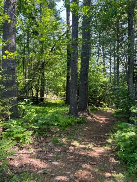 More Photos Of 2076 Atlantic Hwy, Lincolnville Hotel For Sale