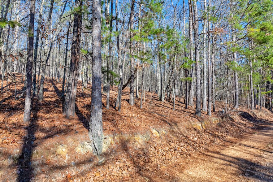 More Photos Of 277 Bethel Church Rd SE, Silver Creek Land For Sale