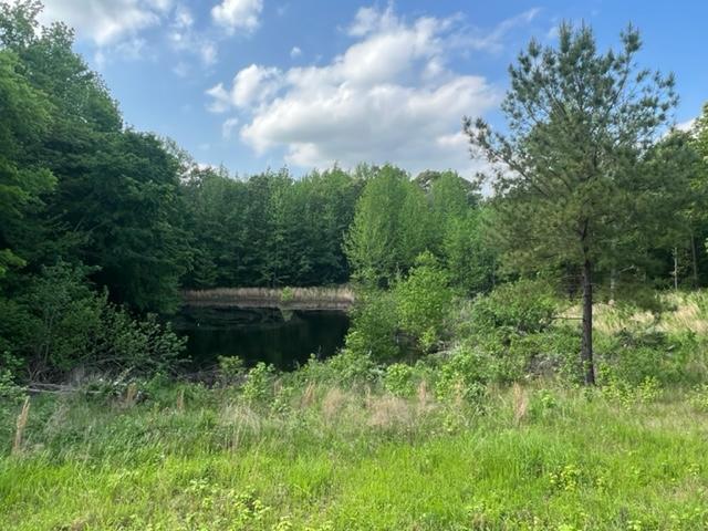 More Photos Of Harrison St / US HWY 69, Batesville Land For Sale