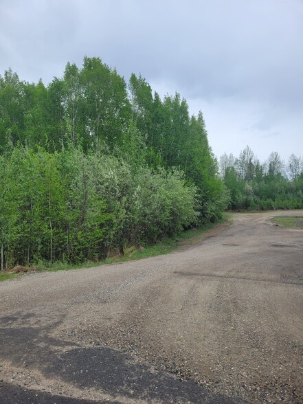 Primary Photo Of NHN Badger Road, North Pole Land For Sale