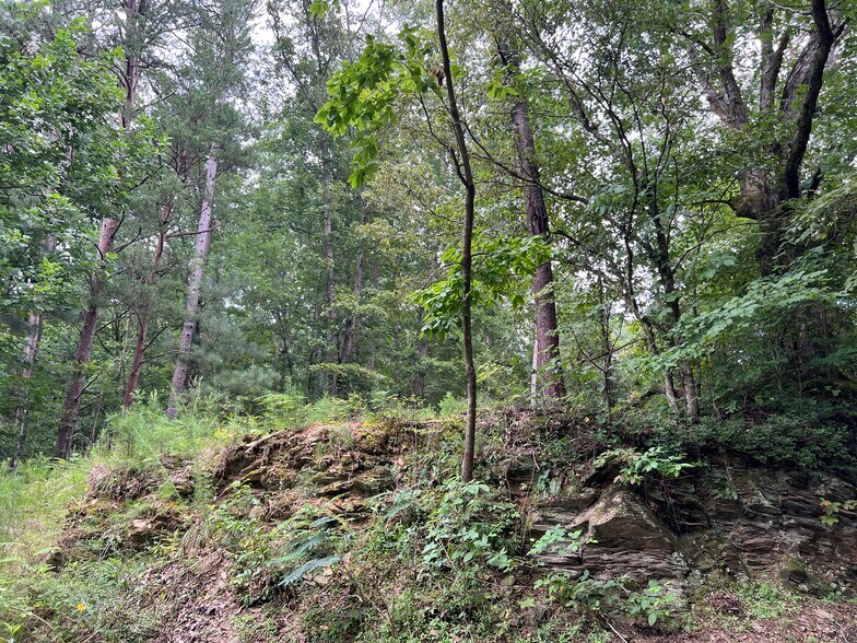 More Photos Of Pinyan, Ranger Land For Sale