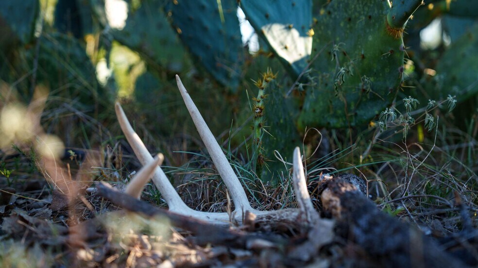 More Photos Of 879 County Road 421, Gonzales Land For Sale