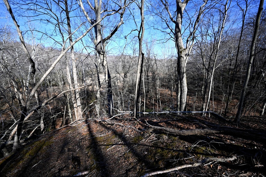 More Photos Of Richard Allen St, Aquasco Land For Sale