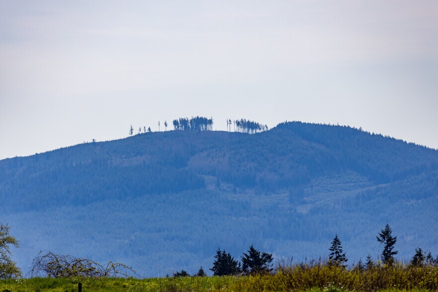 More Photos Of Lot 3 Lofgrin Rd rd, Sequim Land For Sale