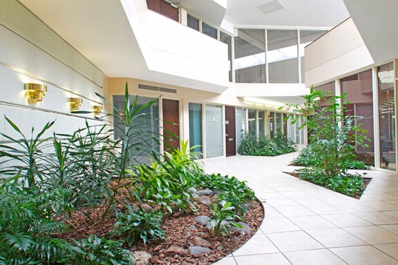 More Photos Of 11500 Olive Blvd, Creve Coeur Office For Lease