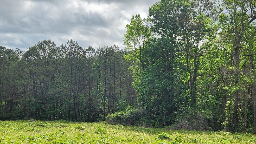 More Photos Of Near 5370 Deerfoot Parkway Pky, Trussville Land For Sale