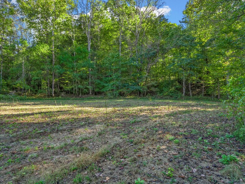 More Photos Of 0 Cox Hollow Rd, Dover Land For Sale