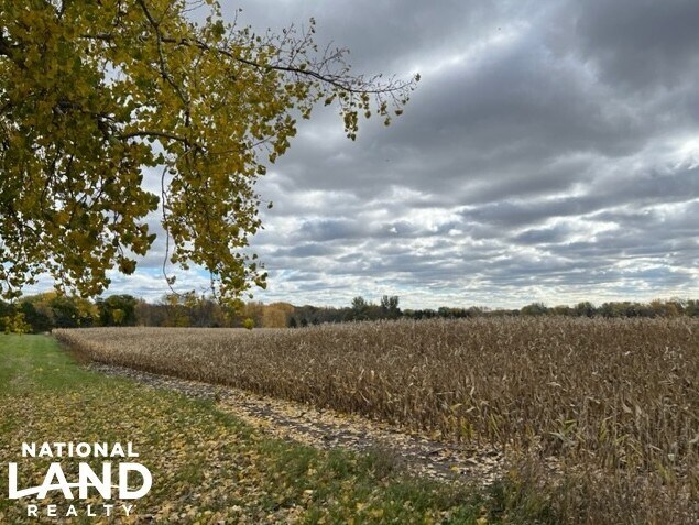 More Photos Of 820 Johnson Ave SW, Cokato Land For Sale