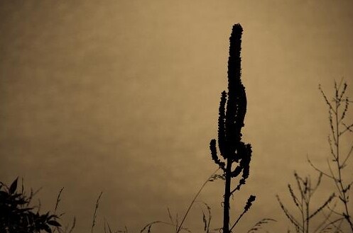 More Photos Of 500 Huff Hollow Rd, Newport Land For Sale