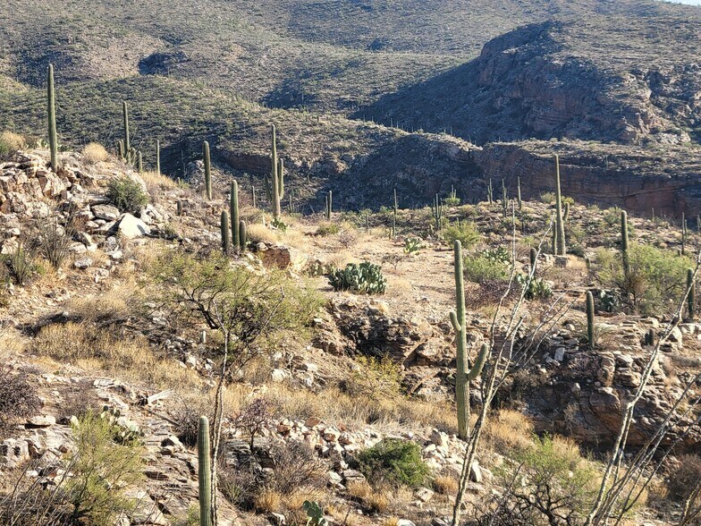 More Photos Of 12959-13013 E Cabeza De Vaca, Tucson Land For Sale