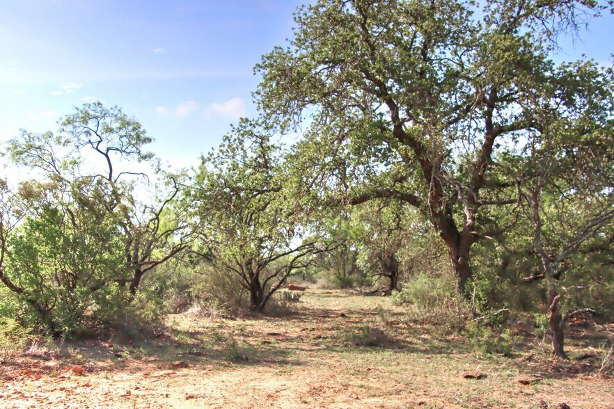 More Photos Of FM 574, Goldthwaite Land For Sale