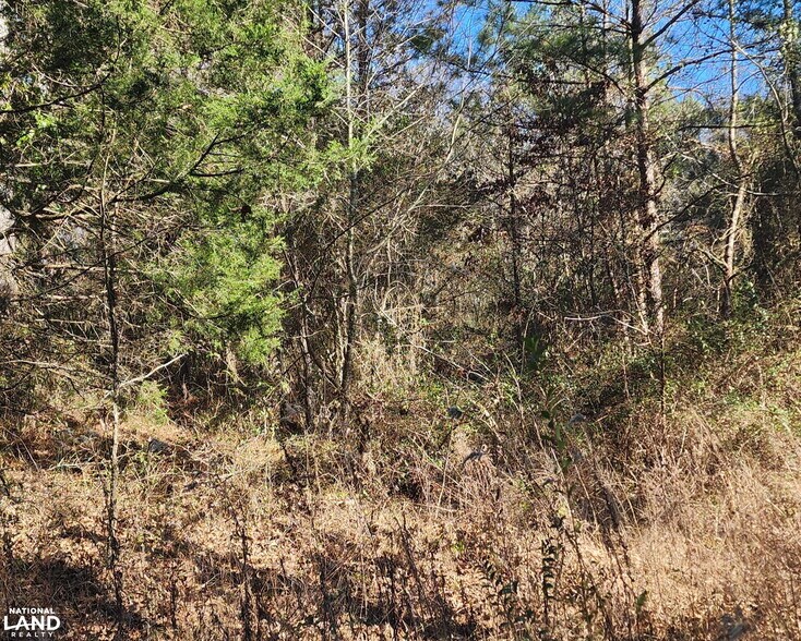 More Photos Of 0 S Sauty Rd, Langston Land For Sale