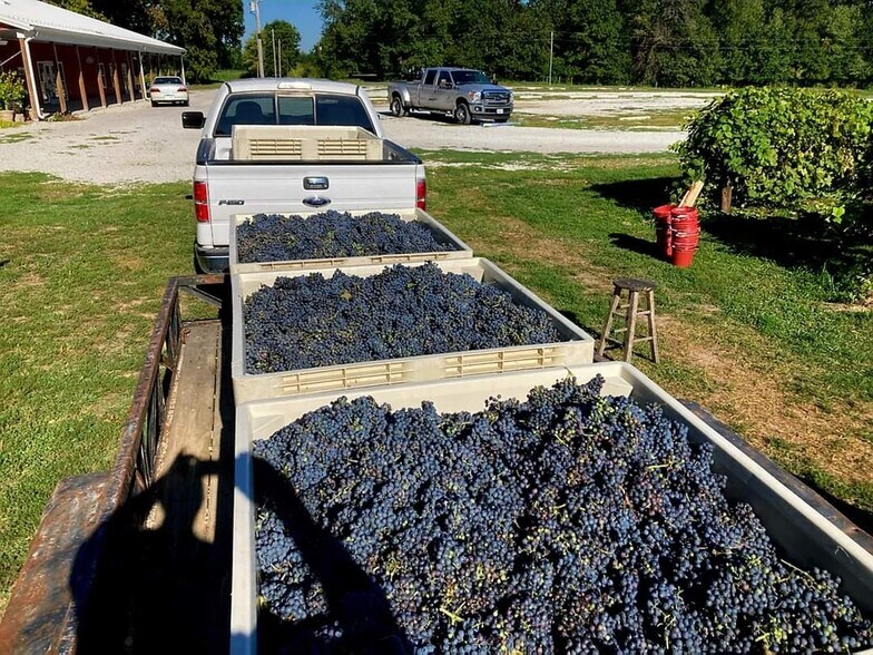 More Photos Of 14223 Route 111, Chesterfield Winery Vineyard For Sale