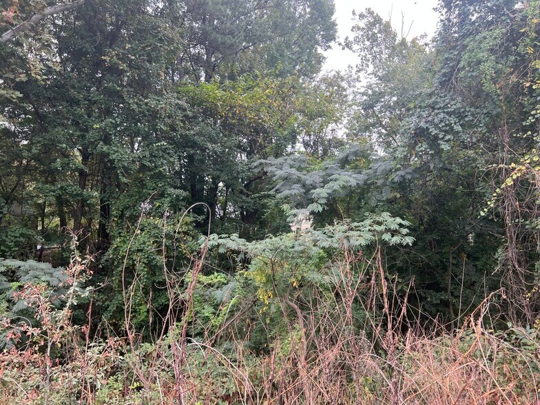 More Photos Of 168 Petersville Ln, Brunswick Land For Sale