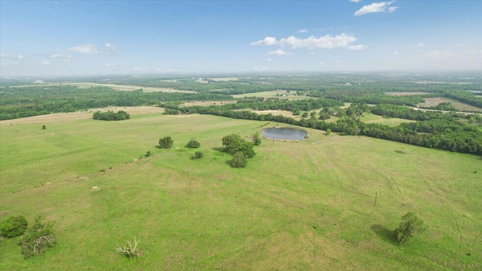 More Photos Of TBD Farm to Market Road 100, Honey Grove Land For Sale