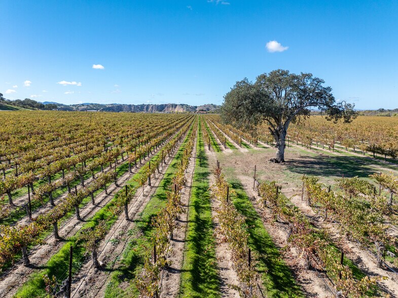 More Photos Of 7790 Airport Rd, Paso Robles Land For Sale