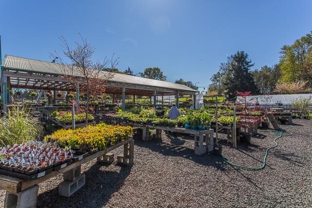 More Photos Of 350 Hickory St NW, Albany Garden Center For Sale