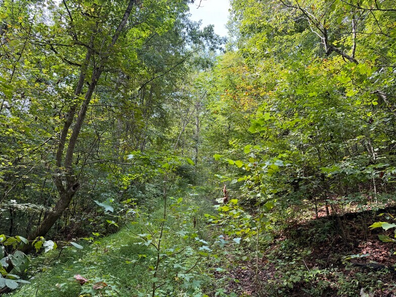More Photos Of Fuller Mountain Rd, Fairmount Land For Sale