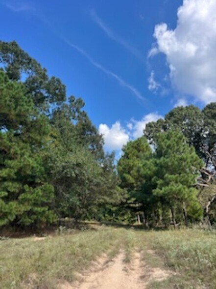 More Photos Of 21805 U.S. HWY 69S hwy, Bullard Land For Sale