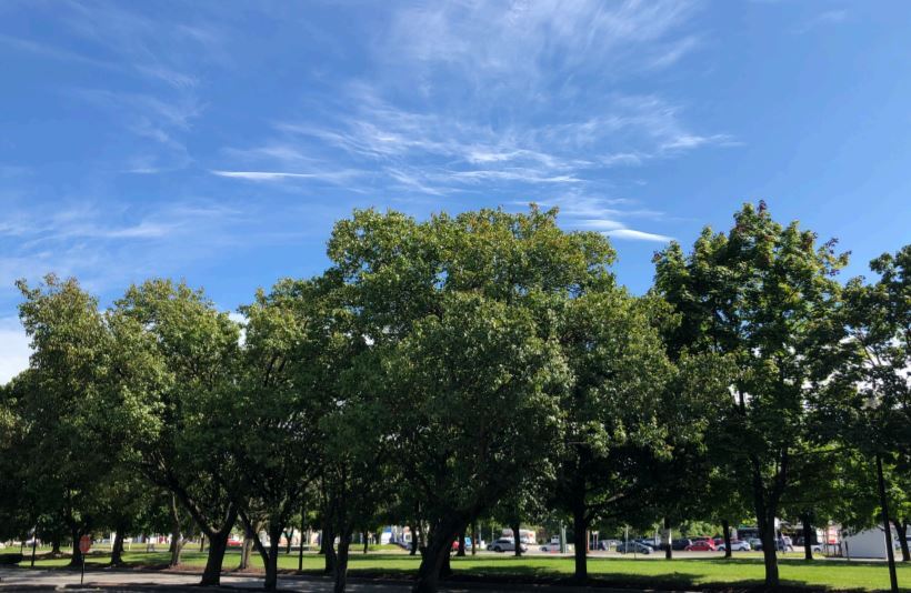 More Photos Of 1414 Crain Hwy N, Glen Burnie Medical For Lease