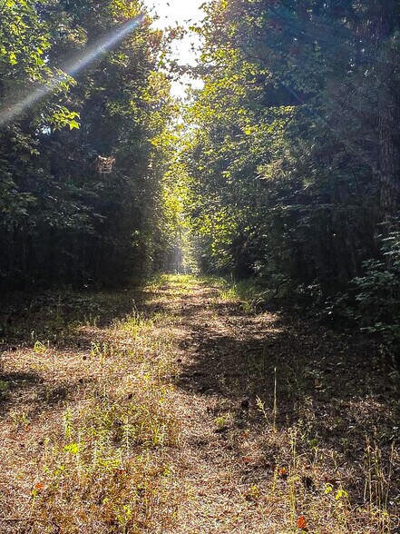 More Photos Of Airline Rd., Dubach Land For Sale