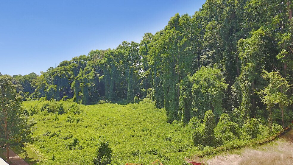 More Photos Of 14717 Maruti Ave, Huntersville Land For Sale