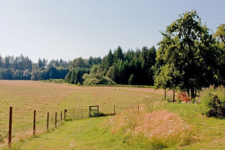 More Photos Of 66845 N Nehalem Hwy, Vernonia Land For Sale