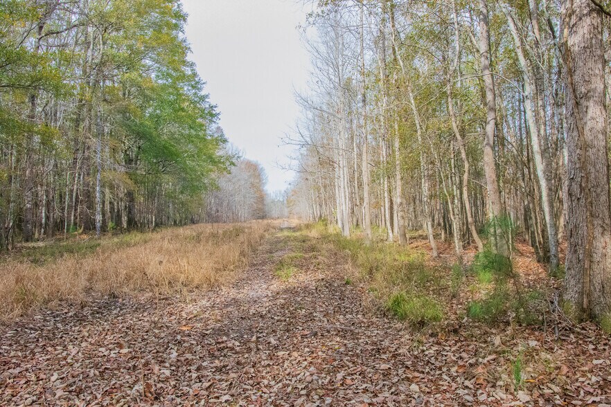 More Photos Of 409 Windward Ave, Orangeburg Land For Sale