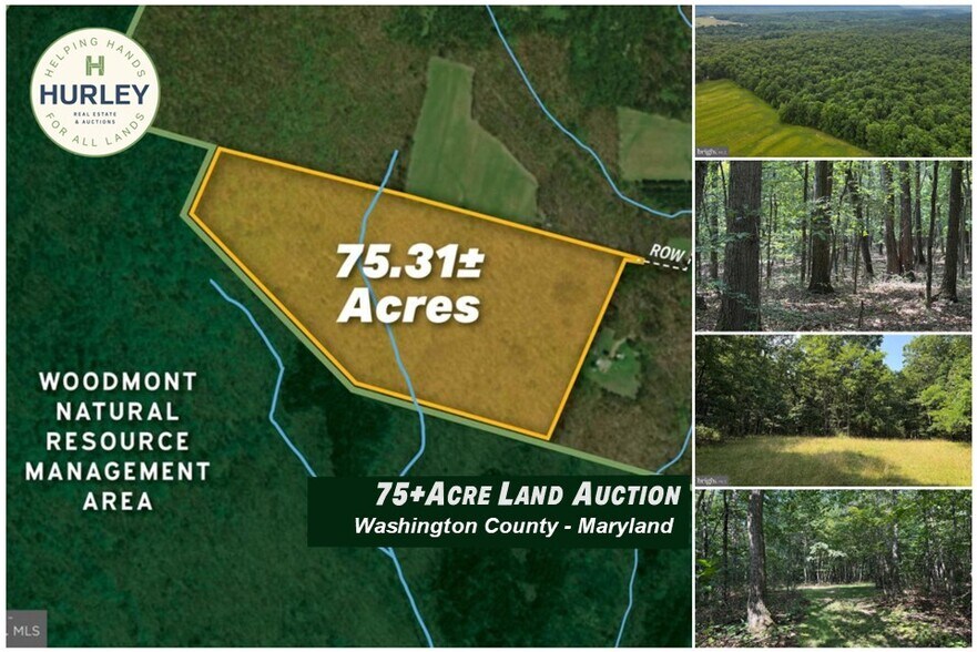 Primary Photo Of Porter's Ln, Hancock Land For Sale