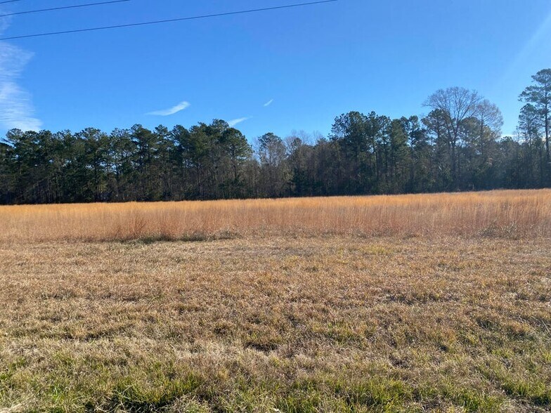 Primary Photo Of TBD Lake Charles Highway, Leesville Land For Sale