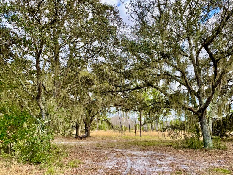 More Photos Of 19858 State Road 52, Land O' Lakes Land For Sale