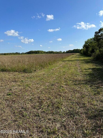 More Photos Of TBD Trahan Rd., New Iberia Land For Sale