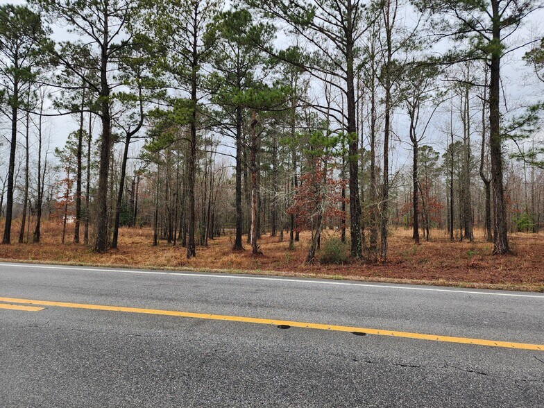 More Photos Of 8055 US-17, Vanceboro Land For Sale