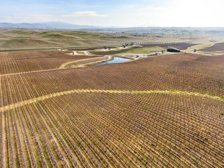 More Photos Of 16073 Highway 65, Bakersfield Winery Vineyard For Sale