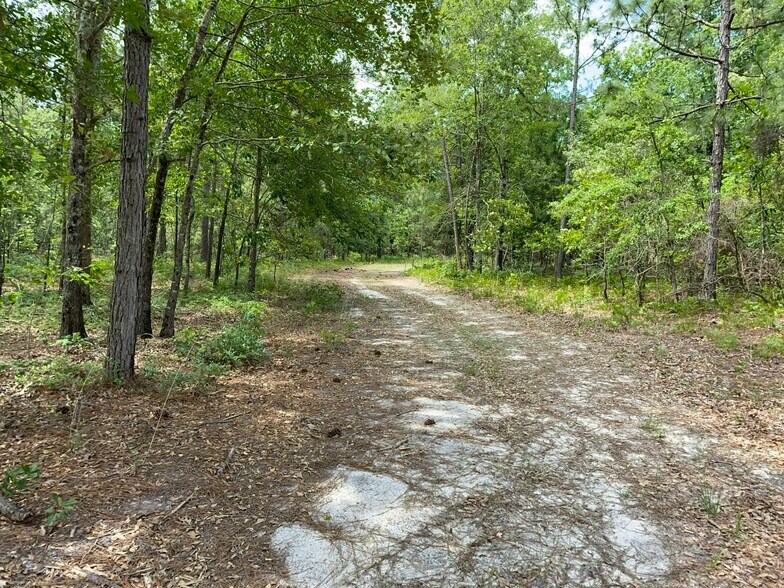 More Photos Of 229 Colbert Bridge Road, Windsor Land For Sale