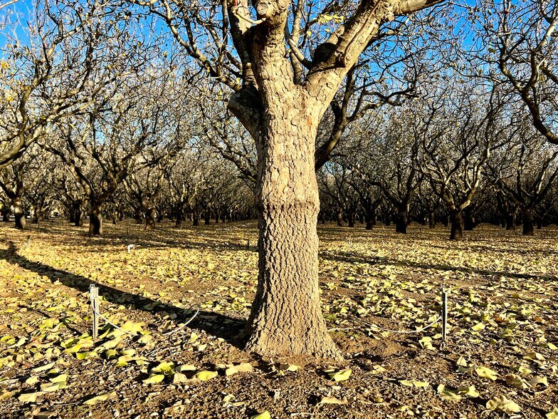 More Photos Of 9121 Pass Rd Rd, Sutter Land For Sale