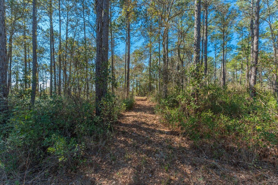 More Photos Of Hwy 331 S & Jolly Bay Road, Freeport Land For Sale