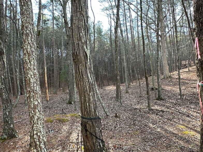 More Photos Of 3472 Prior Station Rd, Cedartown Land For Sale